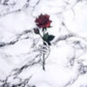 Meet your Posher, Rose